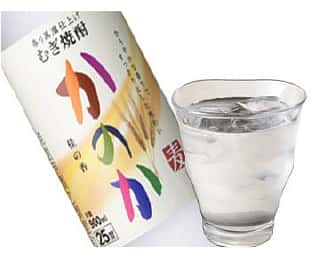 かのか(麦)の画像